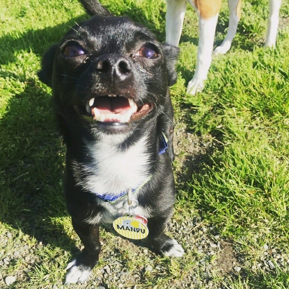 Meet your Posher, Lanna